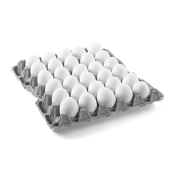 Huevo Primera- Blanco