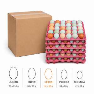 Caja de Huevos de Campo - Extra 180 Unidades