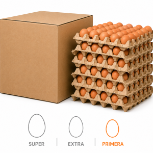 Caja de Huevos Primera Color 180 Unidades