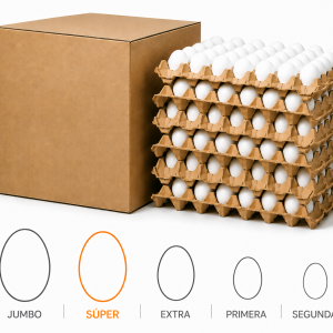 Caja de Huevos Súper Blanco 100 Unidades